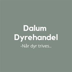 Dalum Dyrehandel