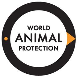 World Animal Protection Danmark