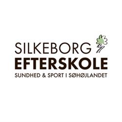 Silkeborg Efterskole