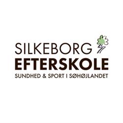Silkeborg Efterskole