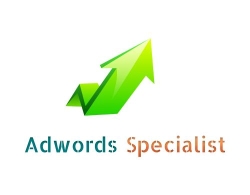 Adwords Specialist