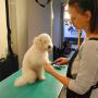 Sylvia at work