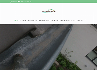 Renoverflades webside