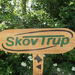 SkovTrup.dk