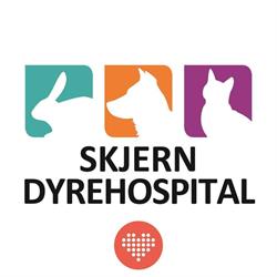 Skjern Dyrehospital