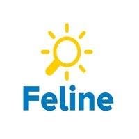 Feline Holidays