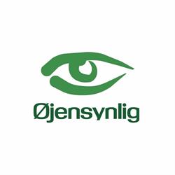 Øjensynlig