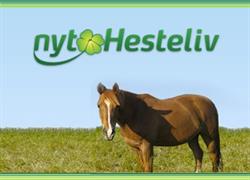 Nyt Hesteliv