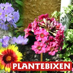 Plantebixen