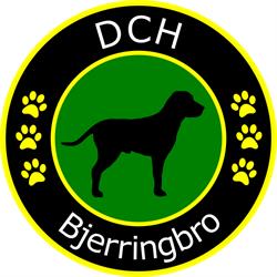 DCH Bjerringbro