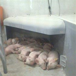 Future Farming