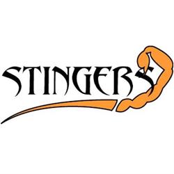 Middelfart Stingers AFC