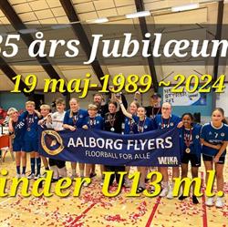 Aalborg Flyers Floorball Club