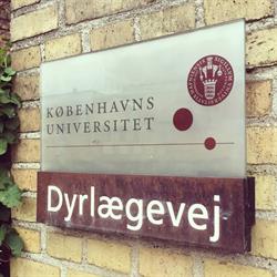 Universitetshospitalet for Familiedyr