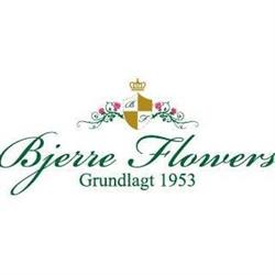 Bjerre Flowers