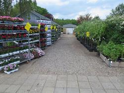 Ullerupvejs Plante Salg