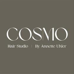 COSMO Aalborg