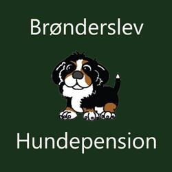Brønderslev Hundepension