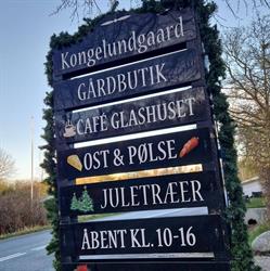 Kongelundgaard