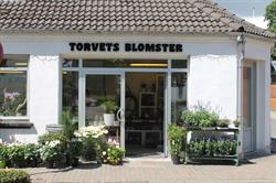 Torvets Blomster
