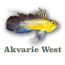 Akvarie West