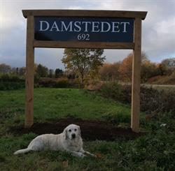 Damstedet Juletræer