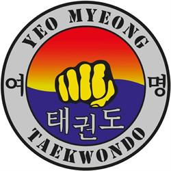 Taekwondo Team Haderslev