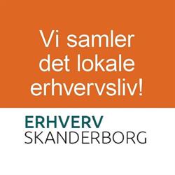 ErhvervSkanderborg