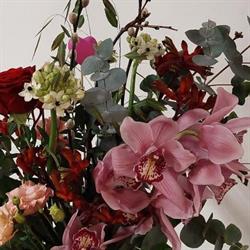 Butik Scandflor