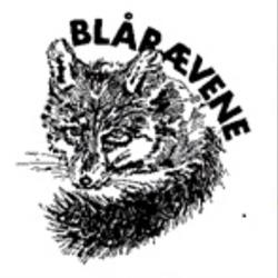 Blårævene 6. Aalborg