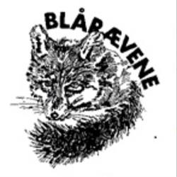 Blårævene 6. Aalborg