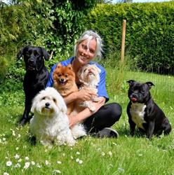 MRS Hundesalon