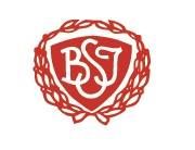 BSI Håndbold