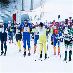 Ultimate Sport Service