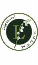 Liljekonval blomster