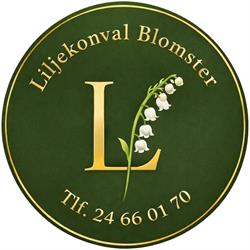 Liljekonval blomster