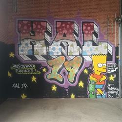 Hal 19 - Holstebro Skatehal