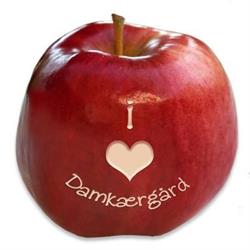Damkærgård