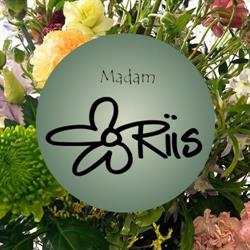 Madam Riis