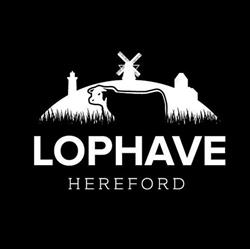 Lophave Savværk