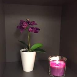 Baagøes fodpleje & wellness