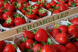 Esromgaard Gårdsalg