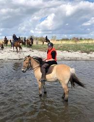 Amagervoksenridetur