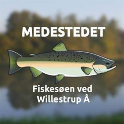 Medestedet