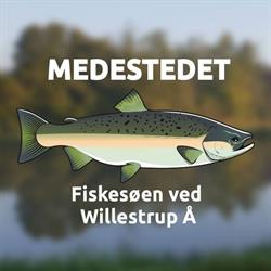 Medestedet