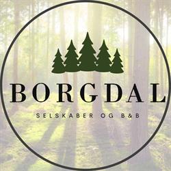 Borgdal Selskaber