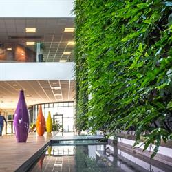 Natural Greenwalls A/S