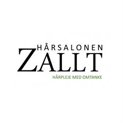 Hårsalonen ZALLT