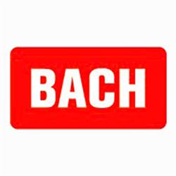 BACH ADVISOR ApS