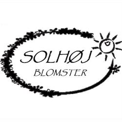 Solhøj blomster